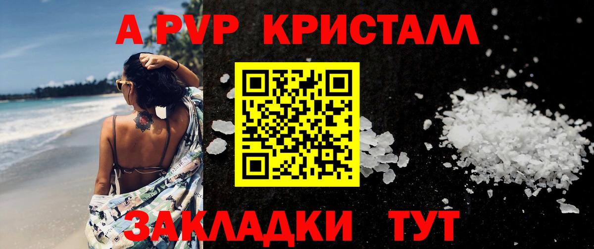 Alfa_PVP СК КРИС Луга
