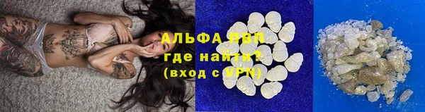 прущая мука Корсаков