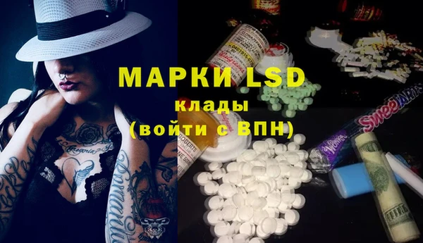 хмурый Козловка