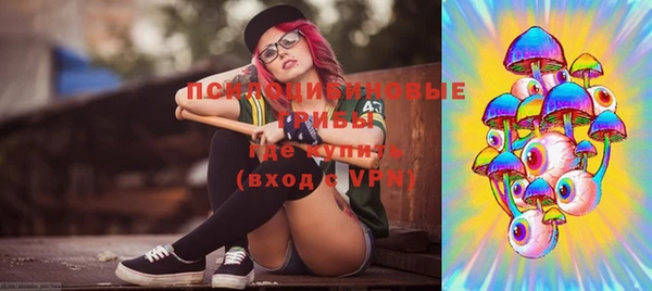 хмурый Козловка