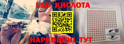 прущие крисы Камышлов