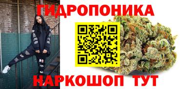 ПСИЛОЦИБИНОВЫЕ ГРИБЫ Изобильный