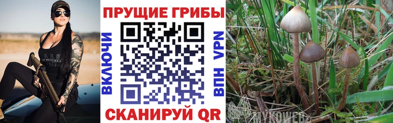 Галлюциногенные грибы мухоморы  Луга 