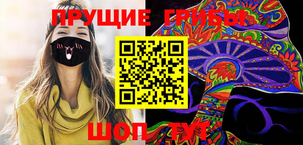 Псилоцибиновые грибы Psilocybe  Вход с VPN  Луга  Псилоцибиновые грибы Psilocybe 