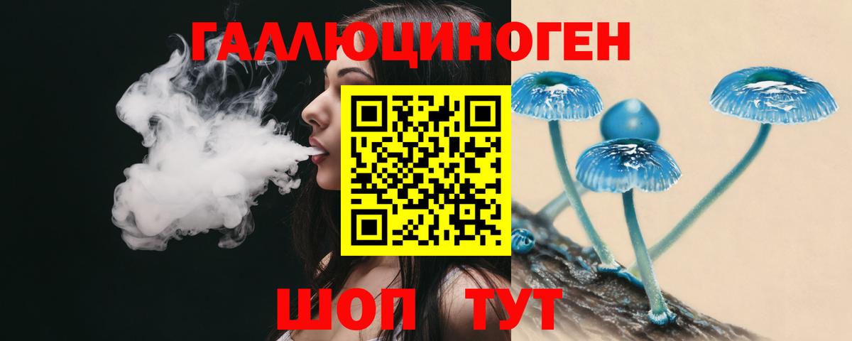 Псилоцибиновые грибы GOLDEN TEACHER Луга